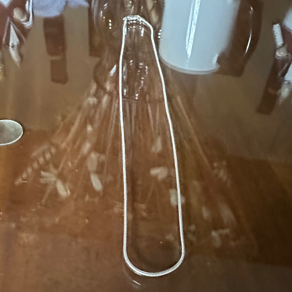 Elegant Silver Necklace